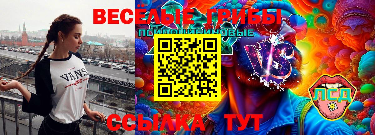 Галлюциногенные грибы GOLDEN TEACHER Люберцы