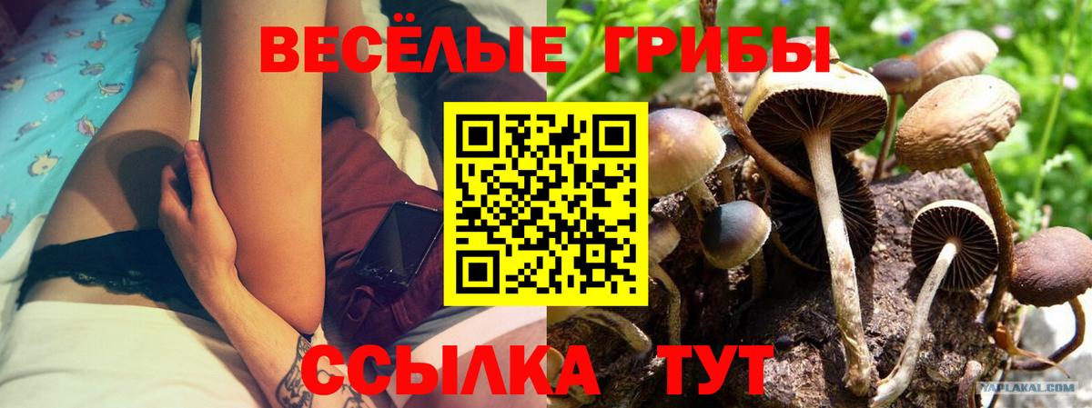 Псилоцибиновые грибы Psilocybine cubensis  Вход с VPN  где найти   Люберцы 