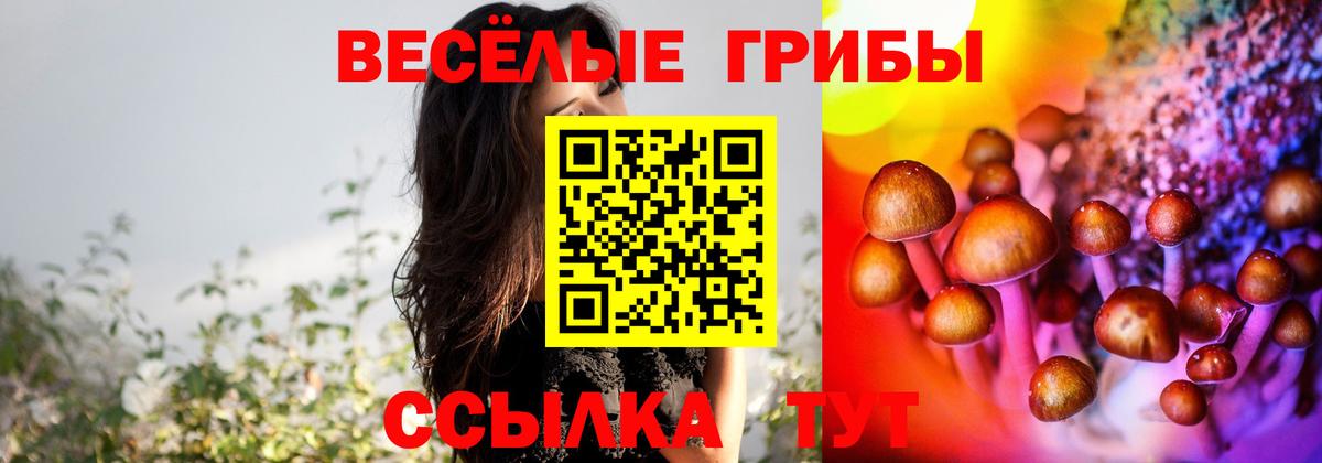 купить закладку  Люберцы  Псилоцибиновые грибы мицелий 